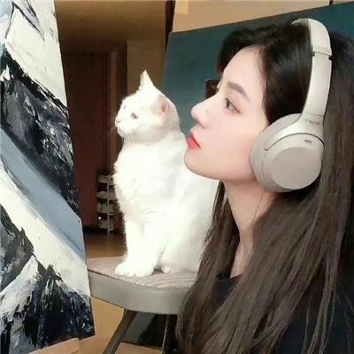 同等族群